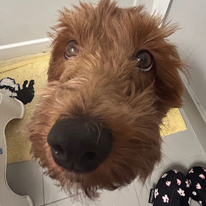 Meet your Posher, Mackenzie